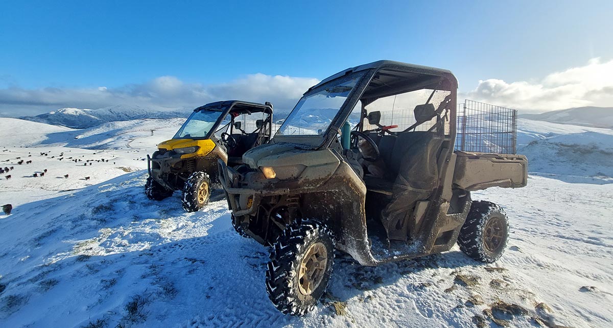 field workers service 2