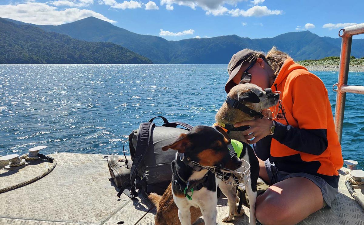 rodent detection dog service 2